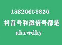 人才引进！各大城市研究生补贴概览|考研辅导班一般多少钱